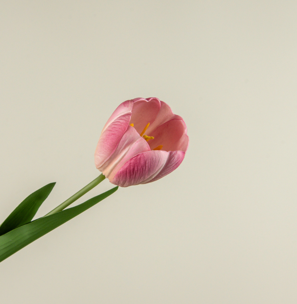 21.5 Soft Touch Pink Tulip Stem