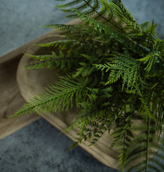 16” Mixed Fern Bush