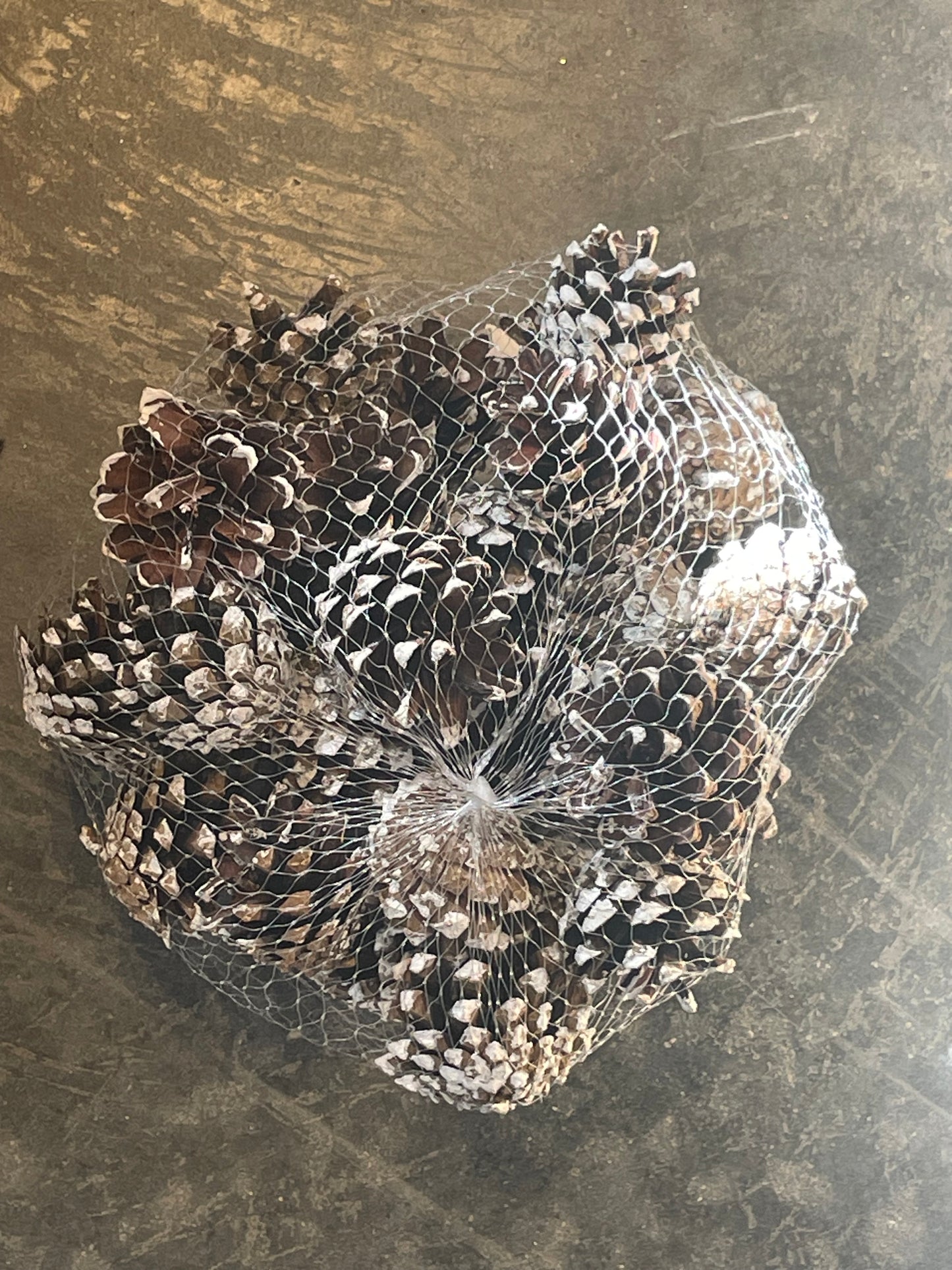 Bag of Snow Tipped Pinecones