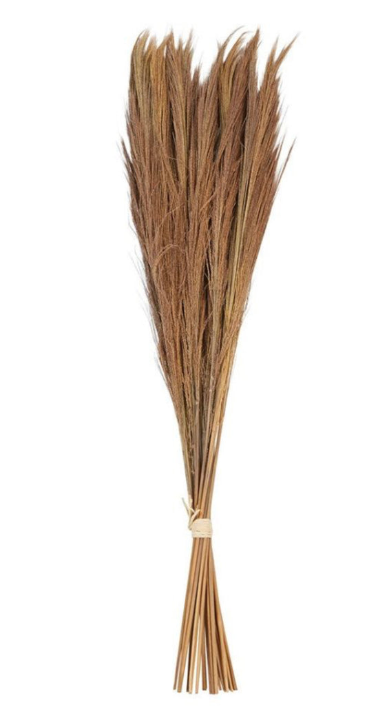 Broom Grass Bunch w/Raffia Tie