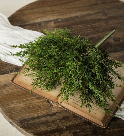12” Juniper Bush