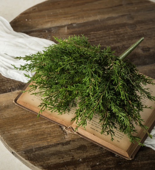 12” Juniper Bush