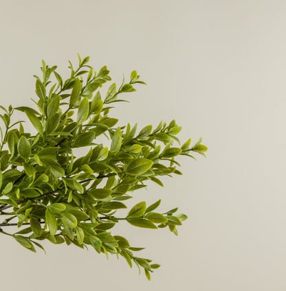14” Ruscus Leaf Bush