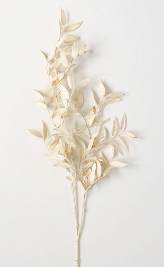 Cream Ruscus Branch