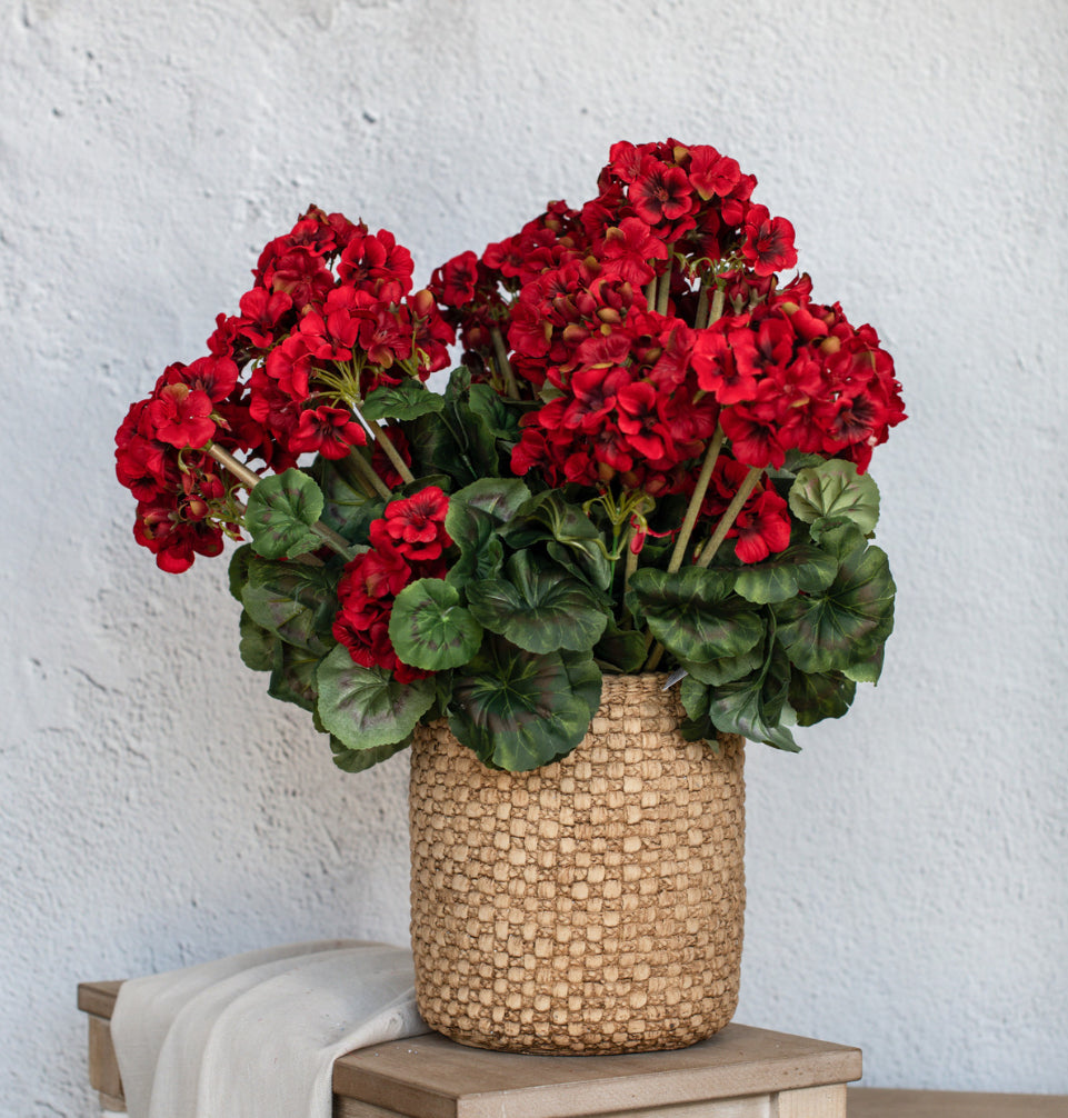 19.5” Red Geranium Bush