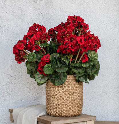 19.5” Red Geranium Bush