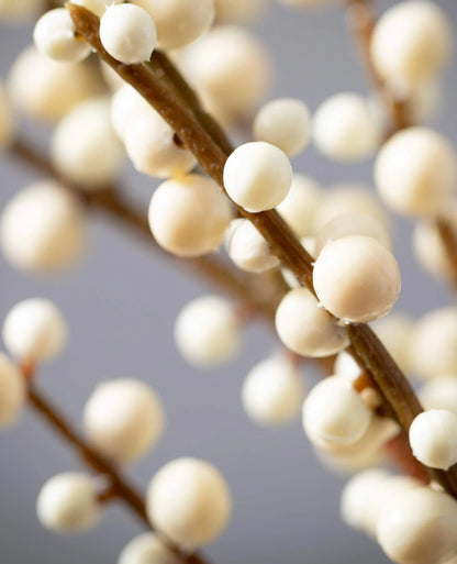 Cream Ilex Berry Spray