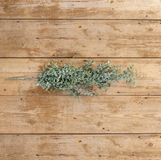 32” English Boxwood Hanging Bush