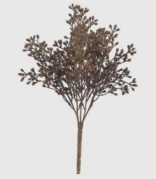 12” Seed Bush