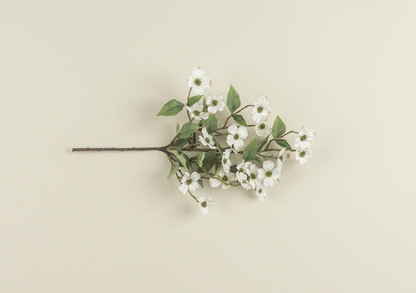 14.5” Dogwood Pick