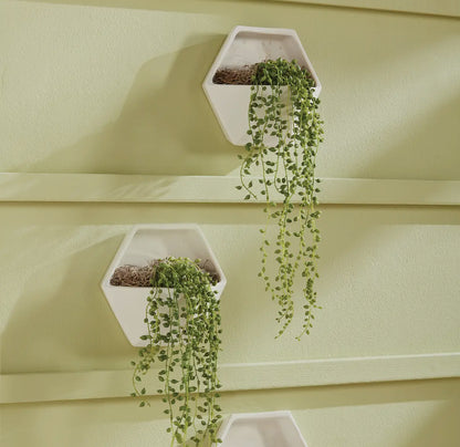Cassidy Wall Planter