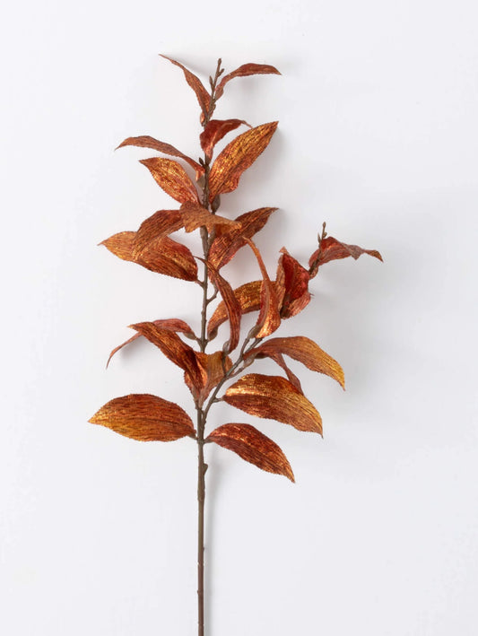 Rust Leaf Spray