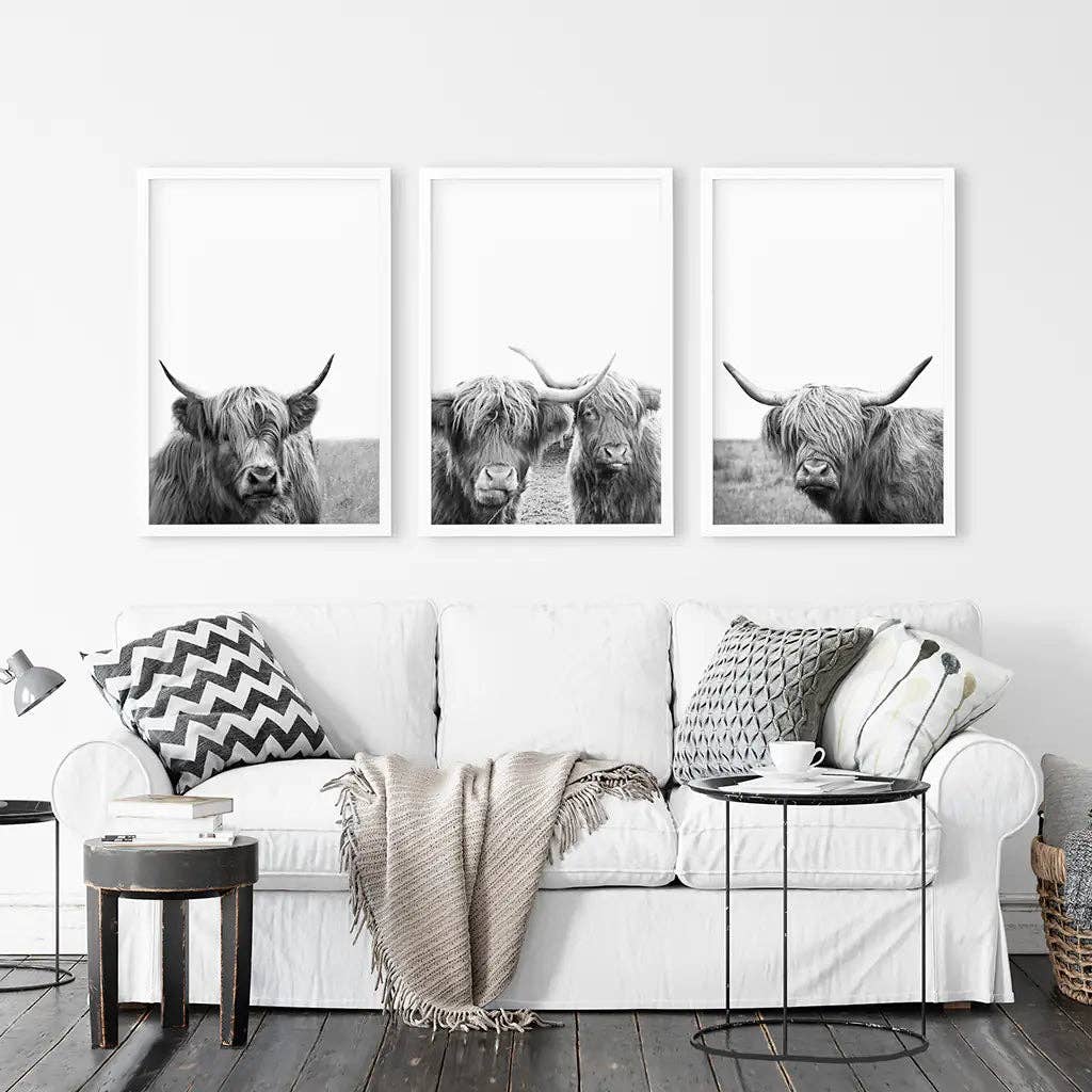 8” x 10” Black White Highland Cow Photo. Farm Animal Print-Sold Separately-No Frames
