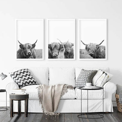 8” x 10” Black White Highland Cow Photo. Farm Animal Print-Sold Separately-No Frames