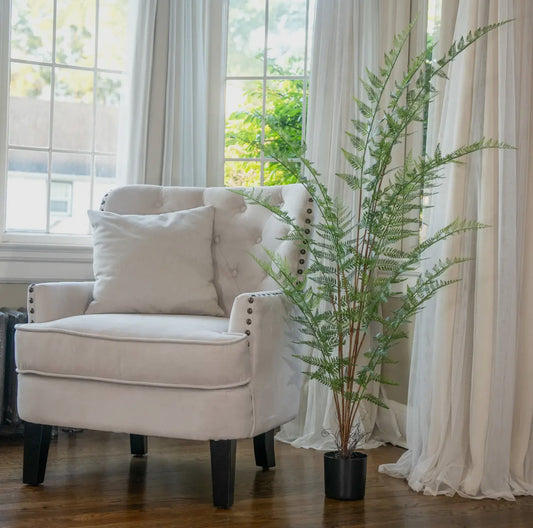 59” Fern Tree In Black Pot