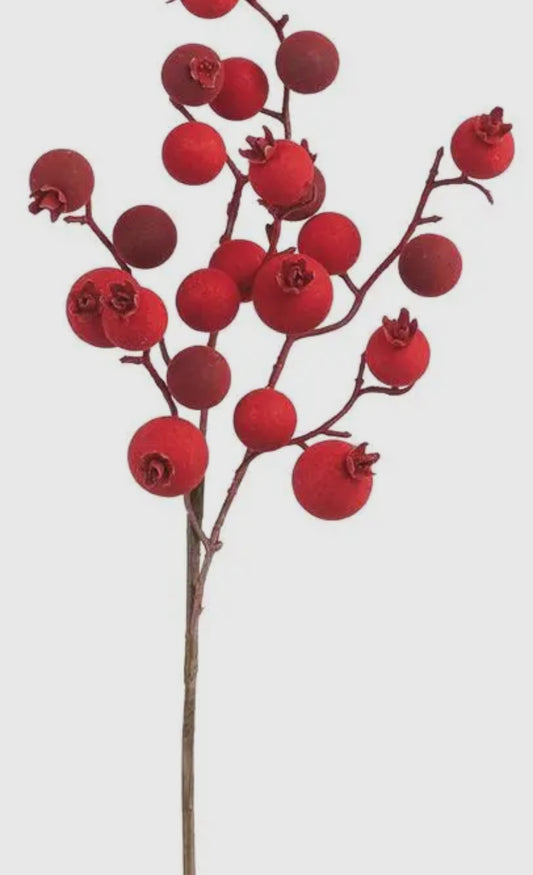Red Berry Pick