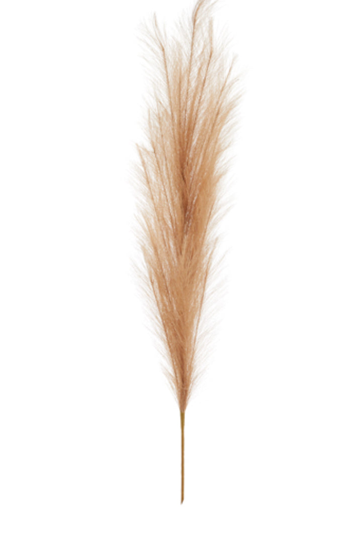 Tan Pampas Grass Stem-45”