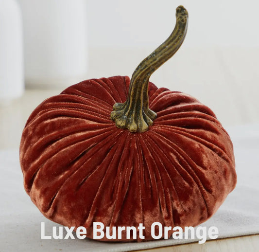 Small Velvet Pumpkin-Lux Burnt Orange