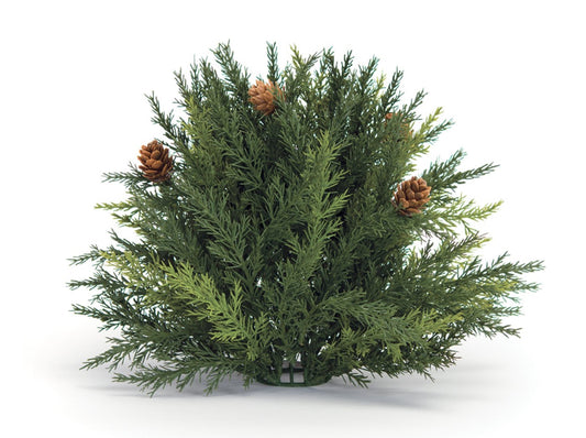 8.5”D Arborvitae Half Orb