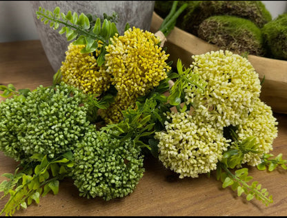 Cream Berry Sedum Spray x3stems