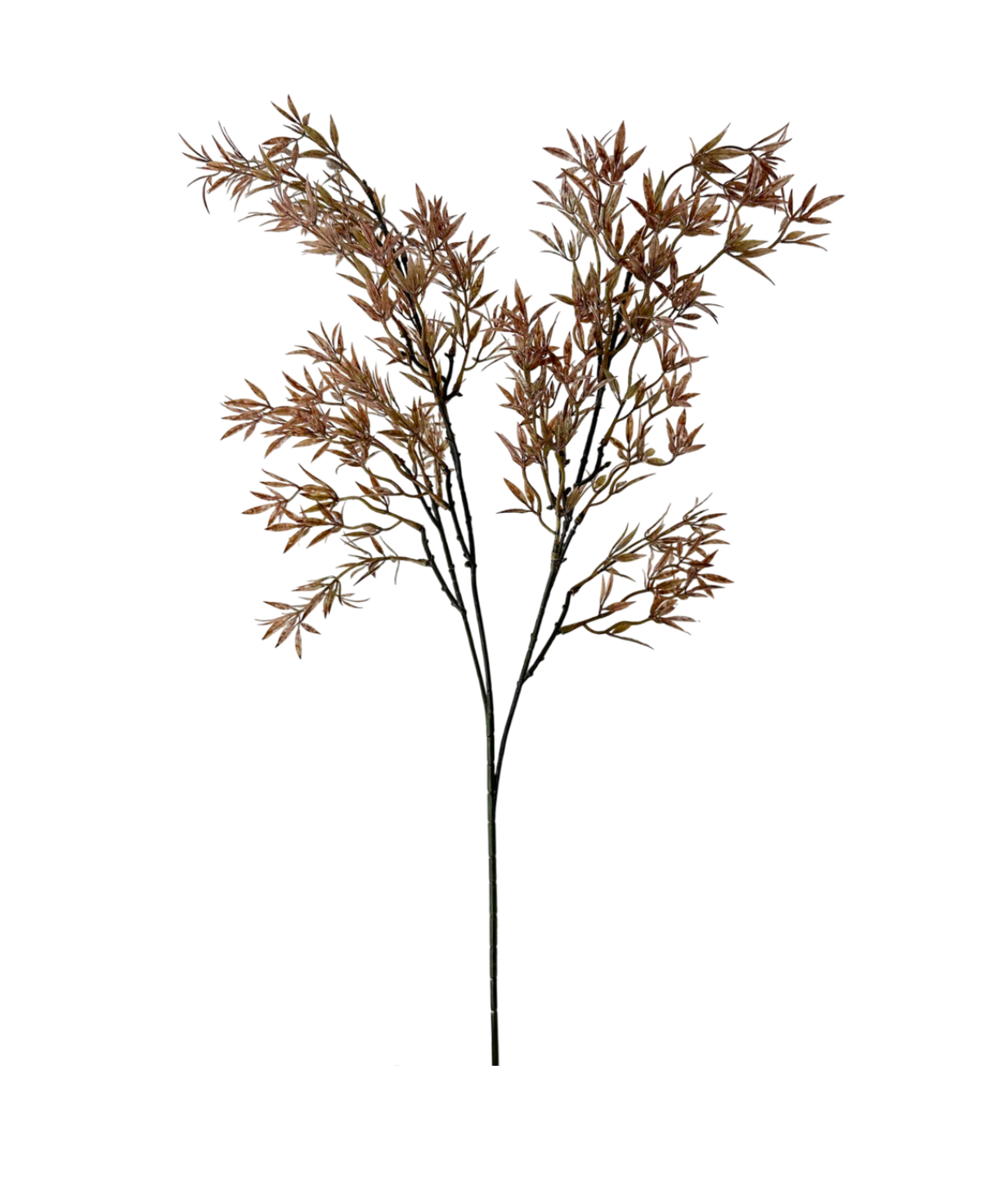 35” Brown Nandina Stem