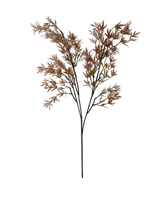 35” Brown Nandina Stem