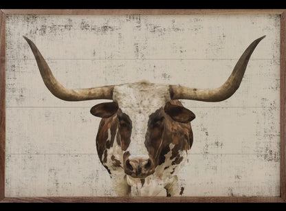 34”x16” Longhorn Whitewash