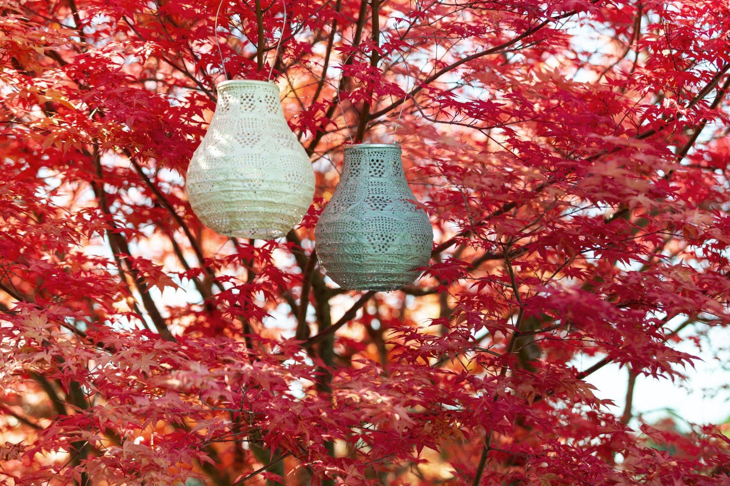 Stella Bulb 8" Solar Lantern - Sage