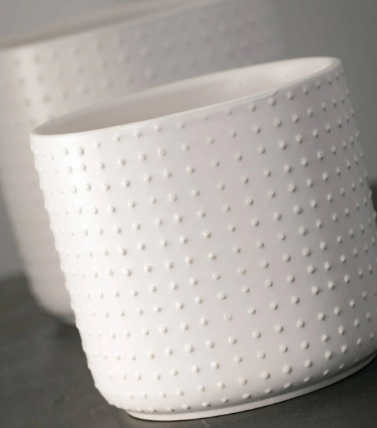 5” Potted Dotted Planter