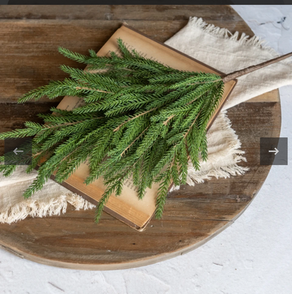 18” Soft Touch Norfolk Pine Pick