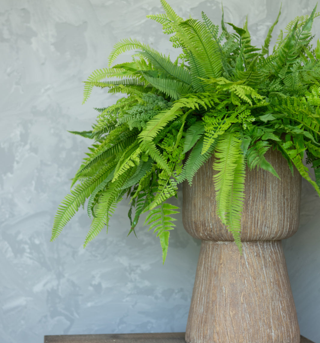 20” Mixed Fern Bush