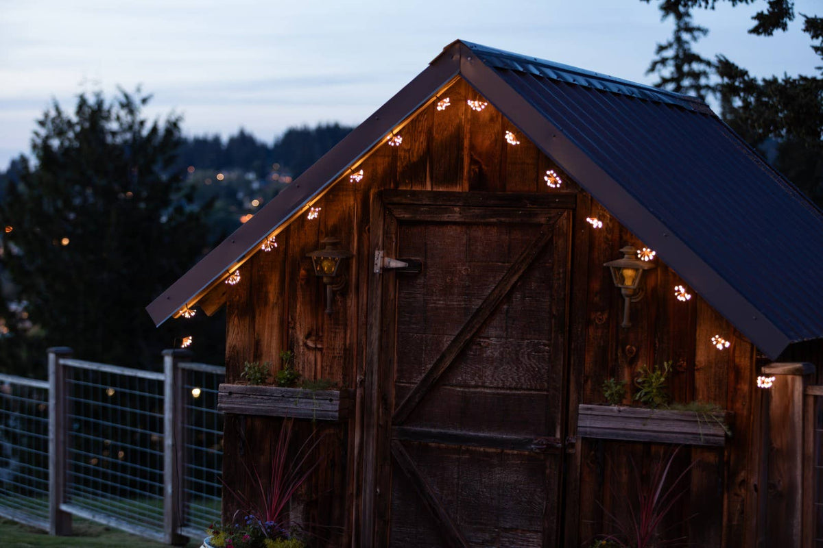 *NEW* Starry Night Solar String Lights - Black