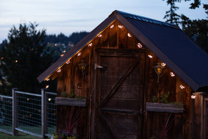 *NEW* Starry Night Solar String Lights - Black