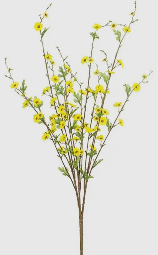 Tall Mini Daisy Bush