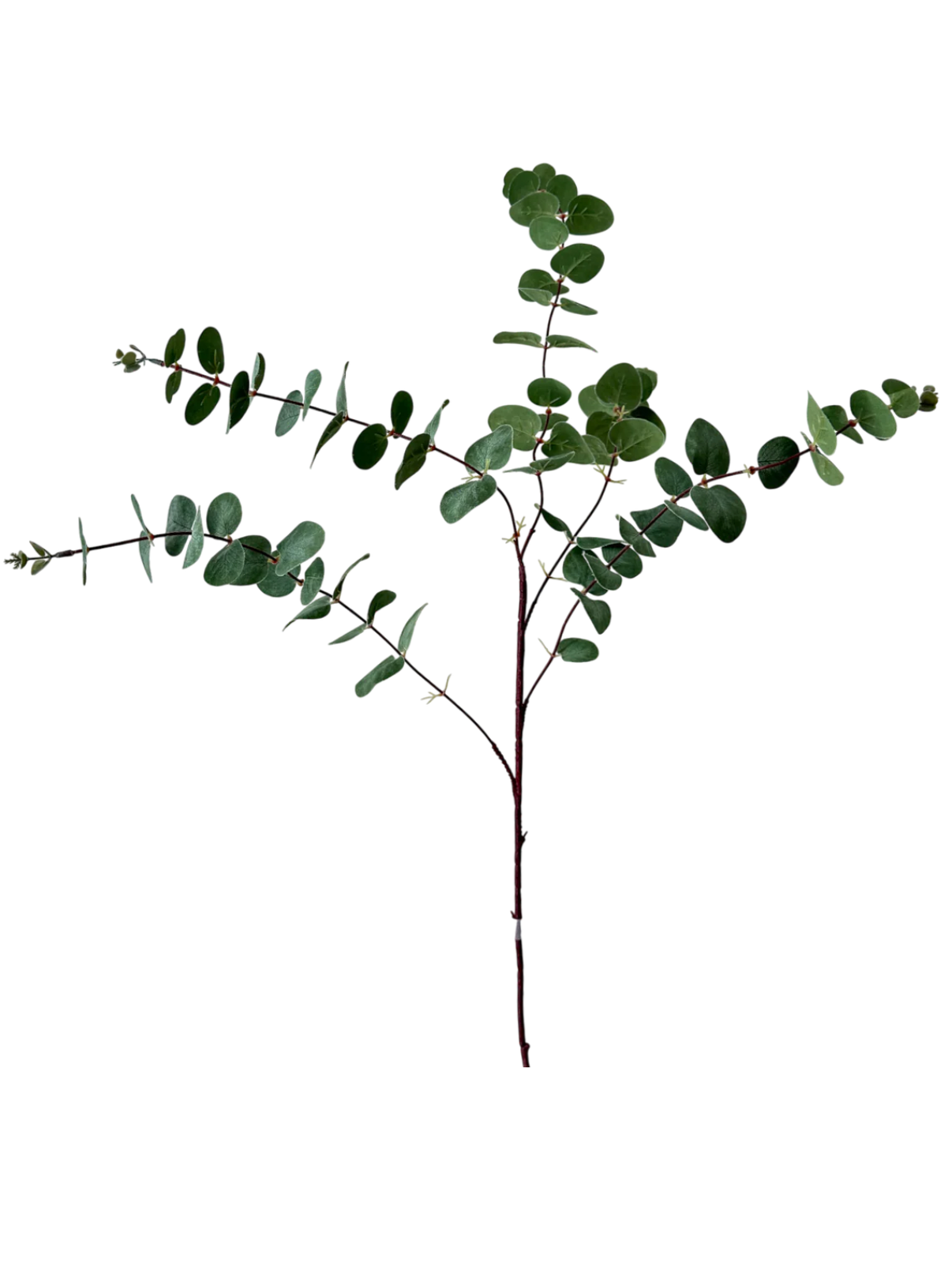 39” Green Eucalyptus