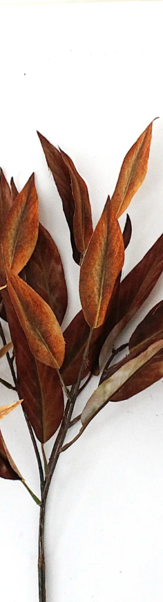 Fall Eucalyptus Stem