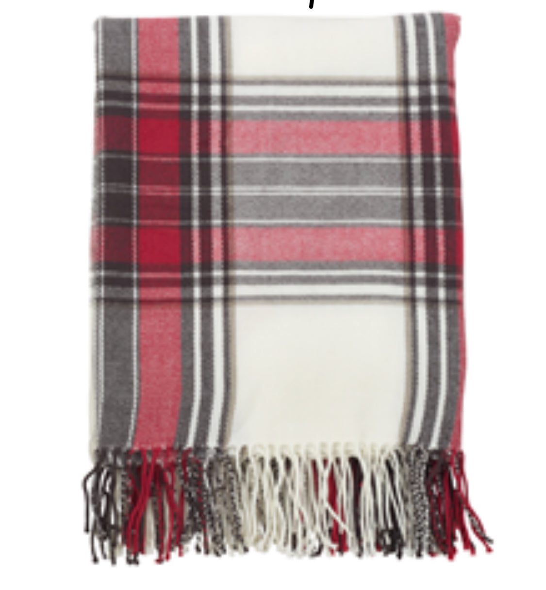 Plaid Tasseled Throw