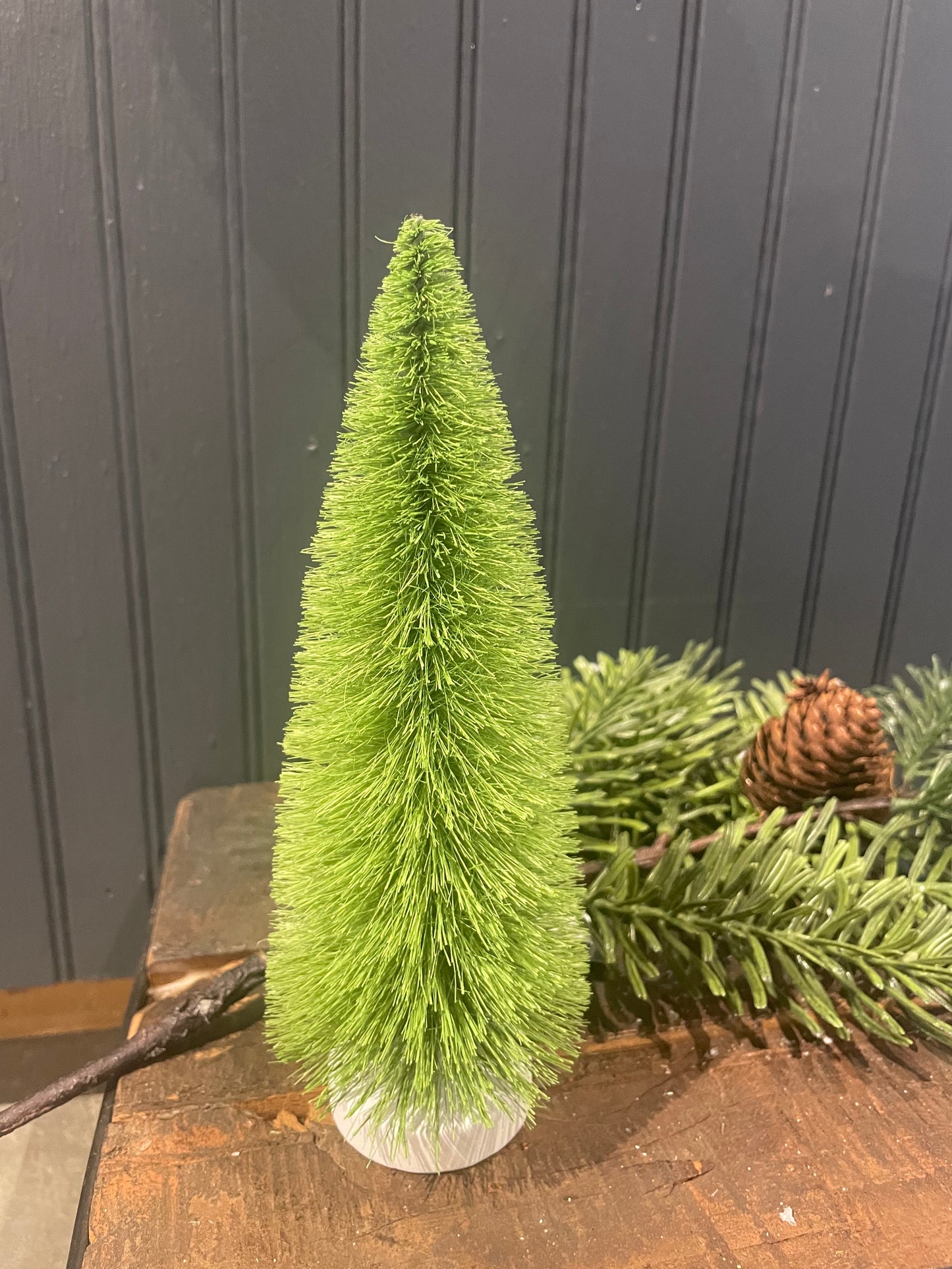 Green Bottle Brush Tree