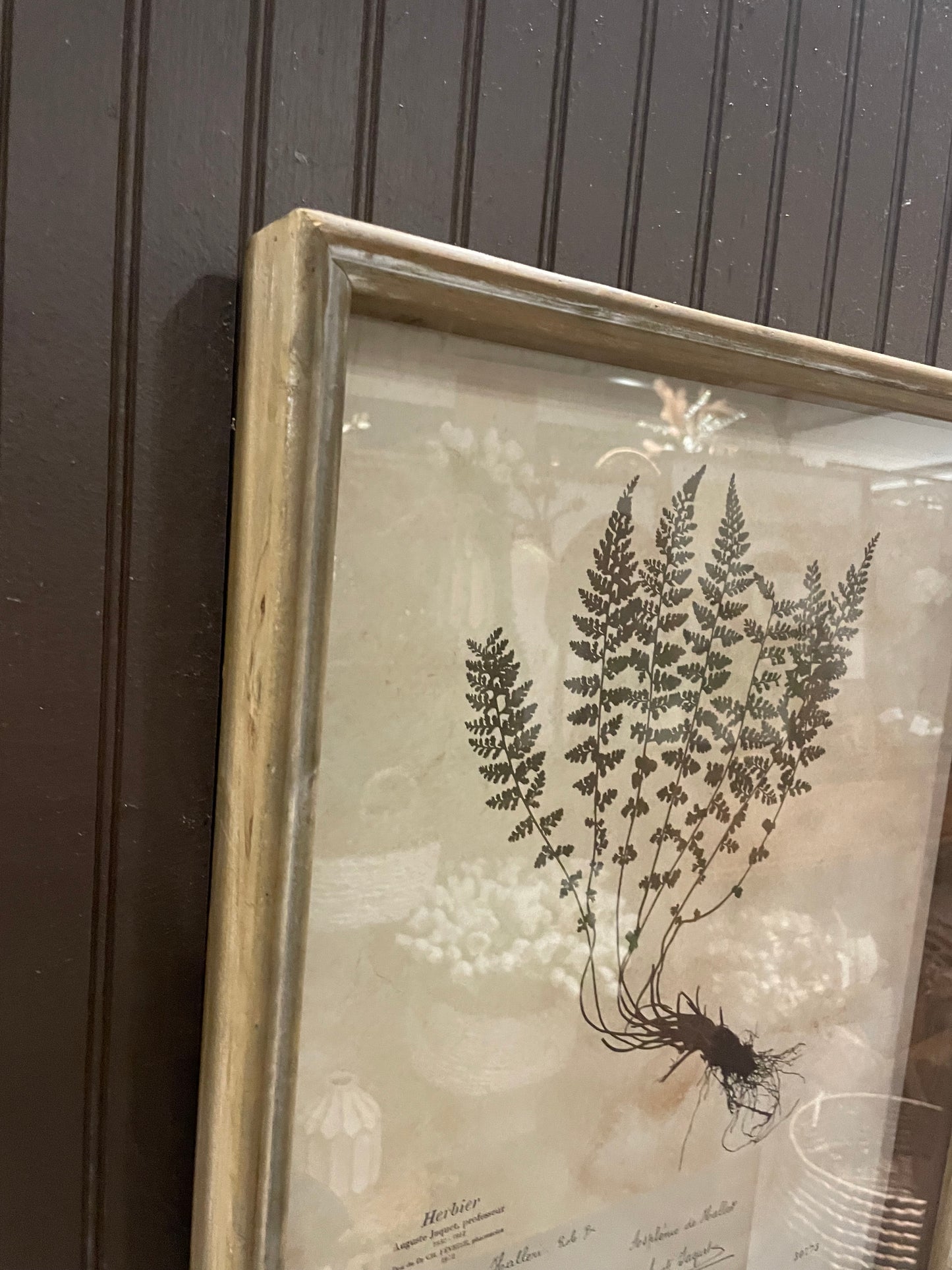 Wood Shadow Box w/ Vintage Fern, 2 styles