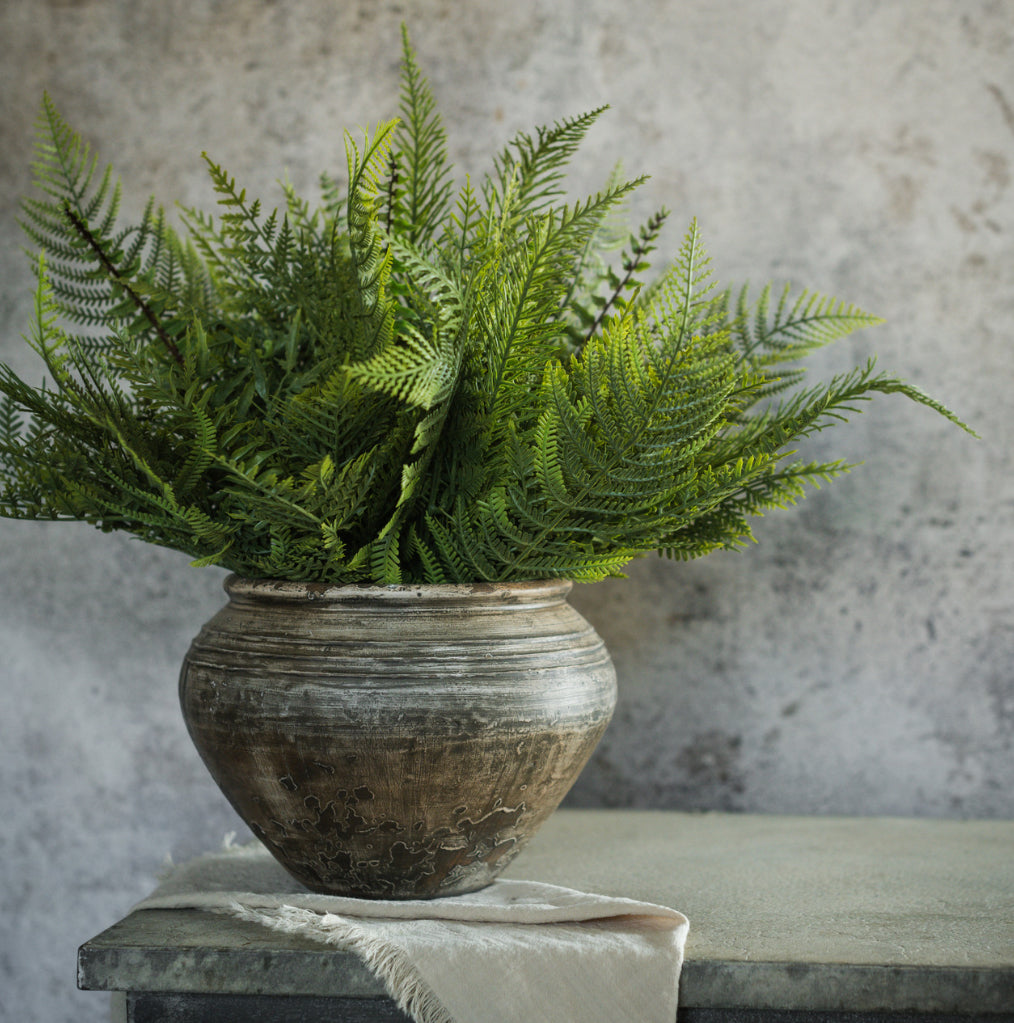 16” Mixed Fern Bush