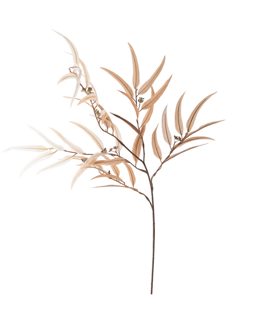 44” Lt Brown Eucalyptus