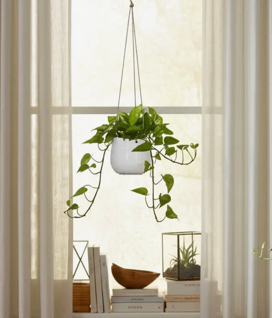 7” White Ceramic Rope Hanging Planter