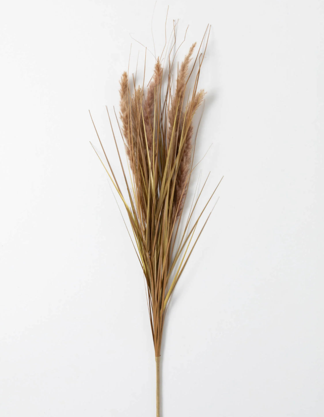 Dried Grass Spray