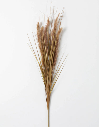 Dried Grass Spray