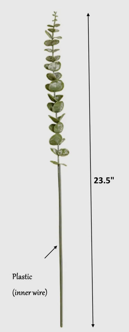 23” Spiral Eucalyptus Stem