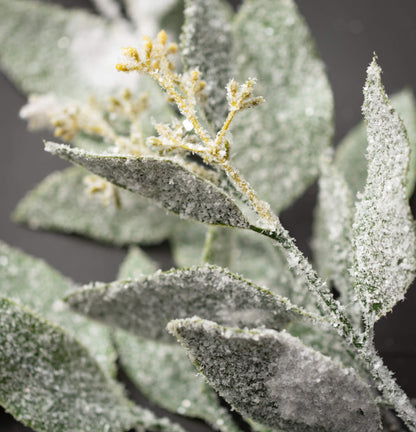Frosted Eucalyptus Pick
