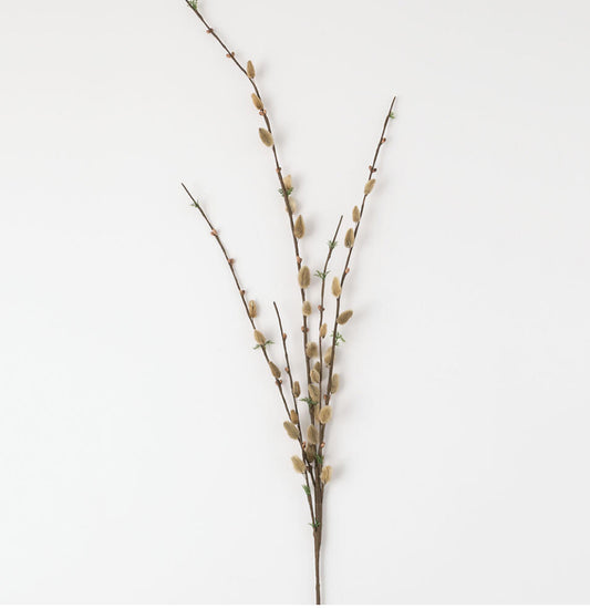 Pussywillow Spray