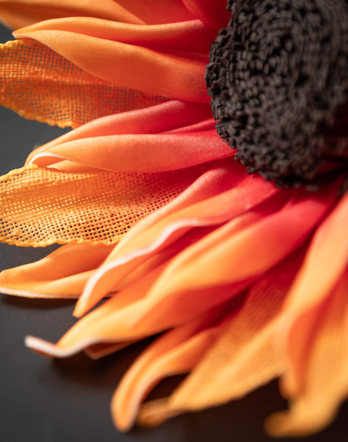 Orange Sunflower Stem