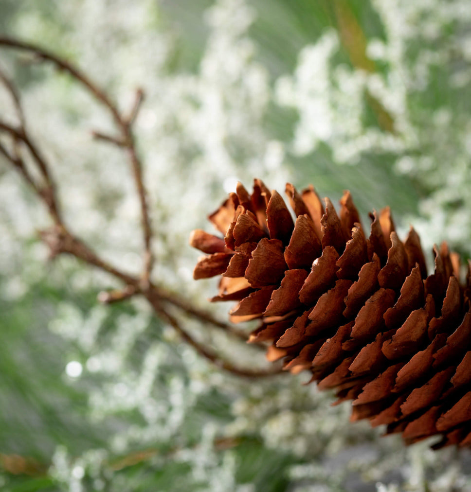 Mixed Cedar & Pine Accent Ring