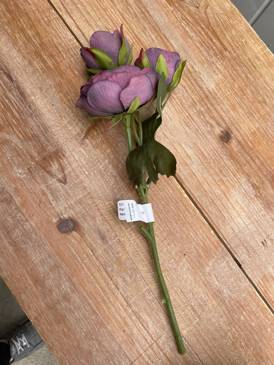 Plum Ranunculus stem x 3